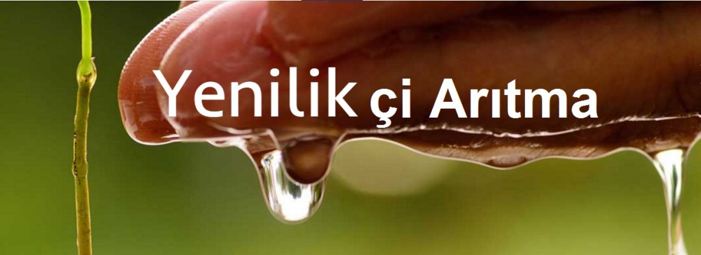 yenilikçi arıtma